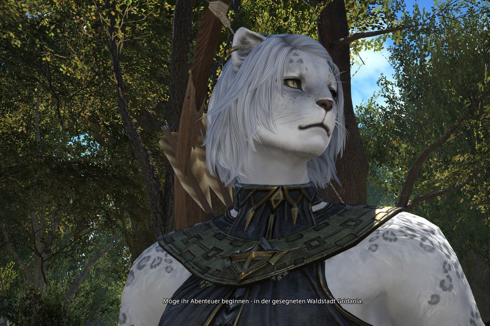 four screenshots of a my new final fantasy 14 alt, a snowleopard-like hrothgar woman whose feline face is shown from various angles in front of a woodland backround.