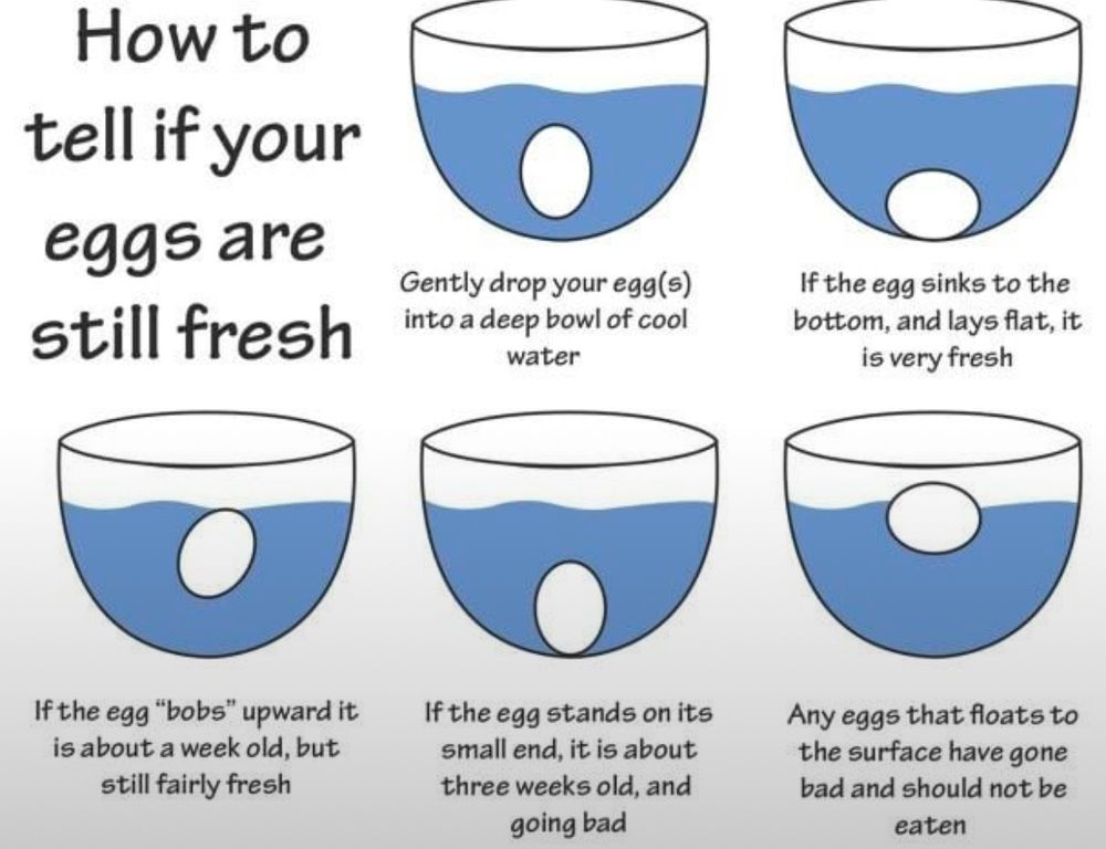 Drawing of egg in bowl of water. Picture shows egg is bad if it floats. 
