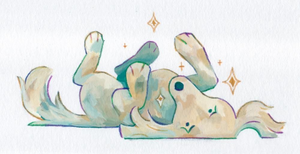 lying saluki gouache painting, the style is simplified, a bit cartoonish. the saluki is lying on their back looking at you sparkle with envy for you to belly rub it. the dog is painted whitish with hint of viridian green