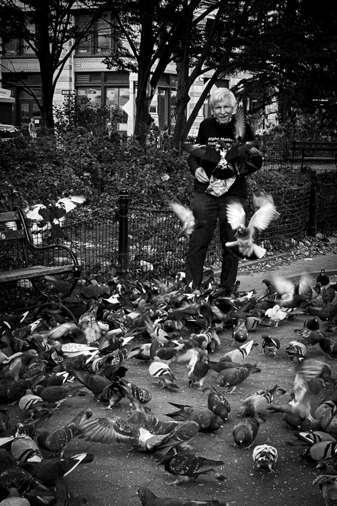 Man feeding birds in Washington Square Park NYC