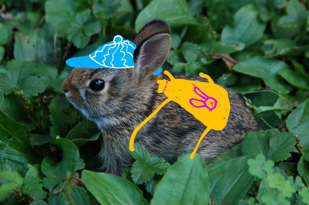Small bunny nestled in greenery with an illustrated blue and white ball cap and orange drawstring backpack with a pink bunny logo. 