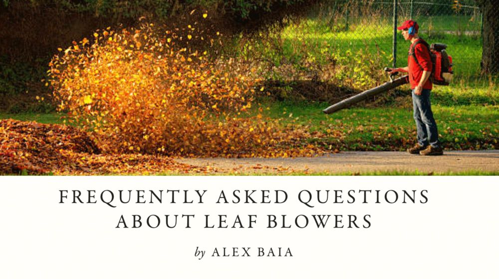 Frequently Asked Questions About Leaf Blowers