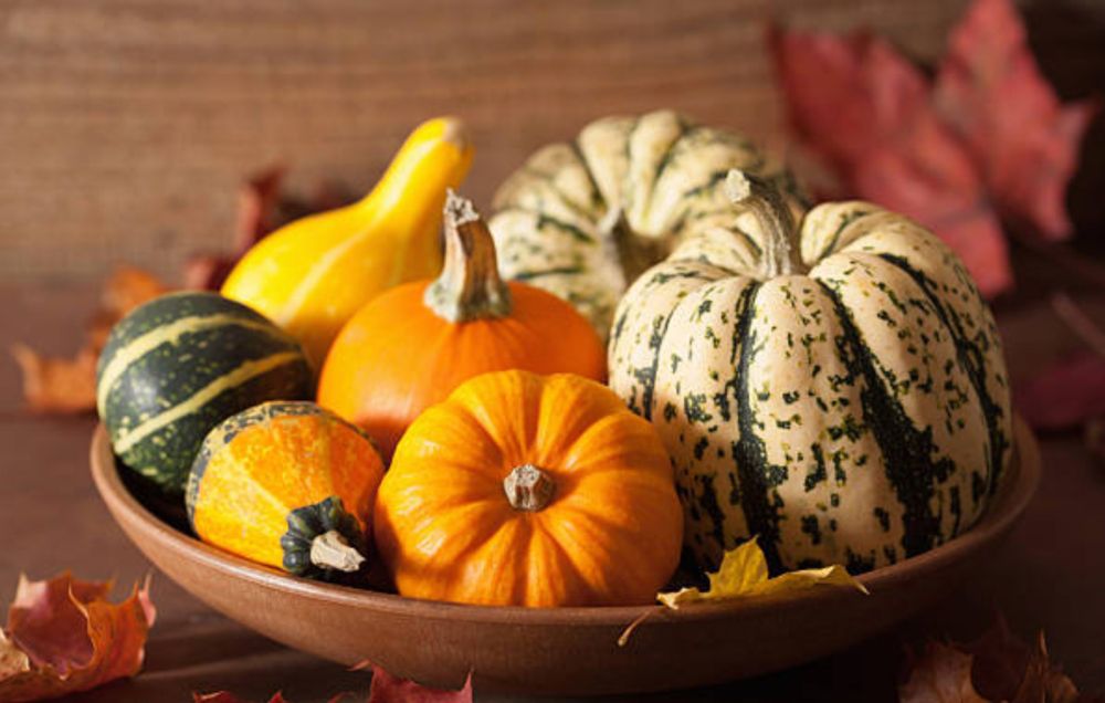 It’s Decorative Gourd Season, Motherfuckers