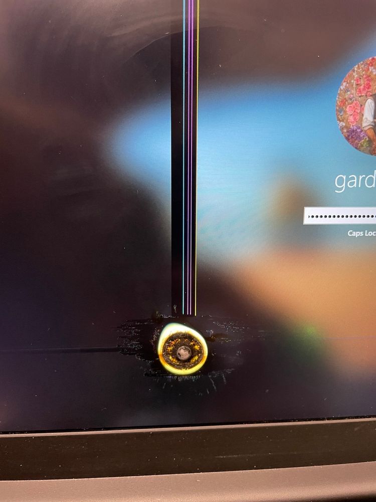 Lenovo E14 with a burn mark on the screen