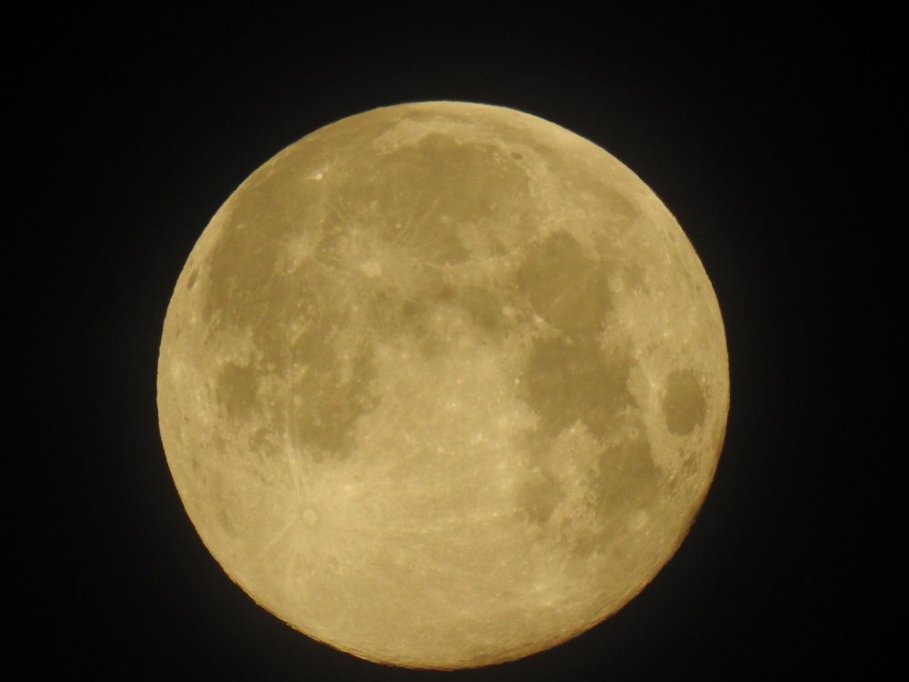 a photo fo the full moon