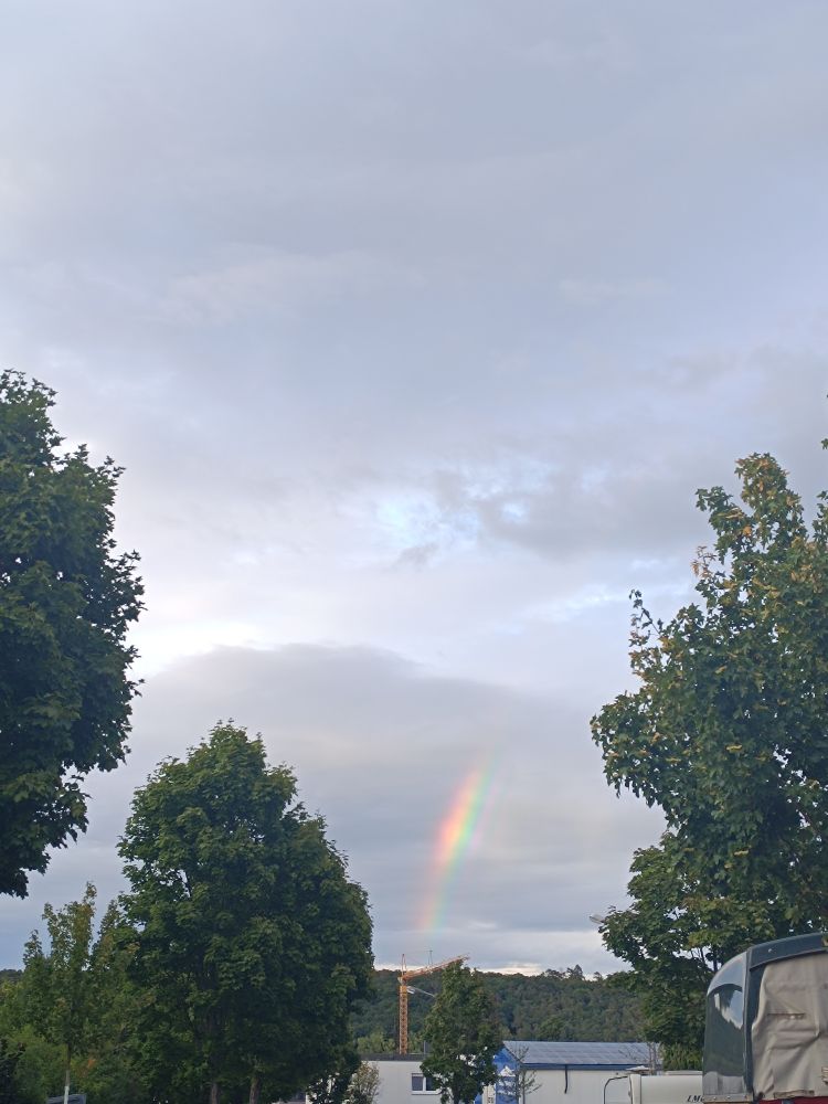 Bild 1: Ein vertikales Foto zeigt einen Himmel mit einer Mischung aus weißen und grauen Wolken. Im unteren Bereich sind die oberen Teile von zwei großen grünen Bäumen zu sehen, die das Bild links und rechts einrahmen. In der Mitte des Bildes, unterhalb der Mitte, ist ein Teil eines bunten Regenbogens zu erkennen, der aus den Wolken kommt und schräg nach unten verläuft. Direkt unter dem Regenbogen steht ein gelber Baukran auf einer Baustelle. Im Hintergrund sind dunkle Bäume, die einen Hügel bedecken, und ein graues Gebäude am Horizont zu sehen. 