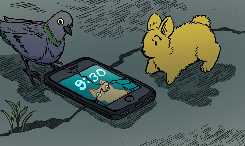 A bunny stares in horror at their phone lying on the pavement, which has a fresh new crack all across the screen. A pigeon looks on sympathetically