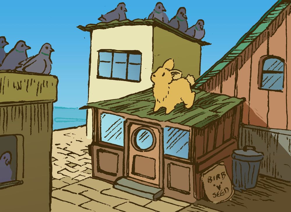 A bunny stands on the roof of a very small shack, holding court with many pigeons sitting on neighboring rooftops. They are in a small seaside town.