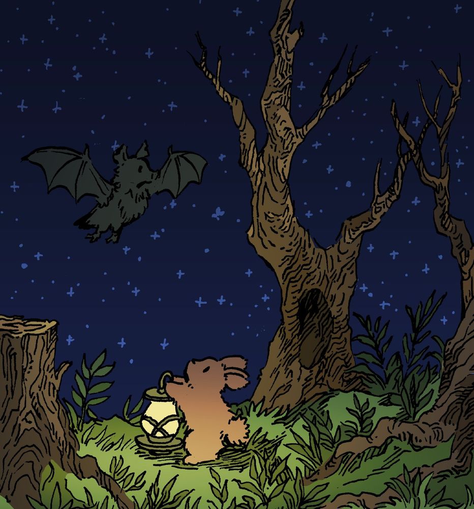 A bunny is out at in a forest night, with an old-fashioned oil lamp. He looks up at a bat flying by in the darkness. The bat takes no notice of the bunny.