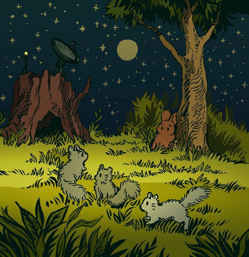 A bunny observes a trio of squirrels at night, heading in a line to their secret hideout, which is in a hollow stump. The bunny is by a treetrunk, but is not well hidden, and has just been spotted by the leader squirrel. The hideout is like a normal stump, but has a small satellite dish on top.