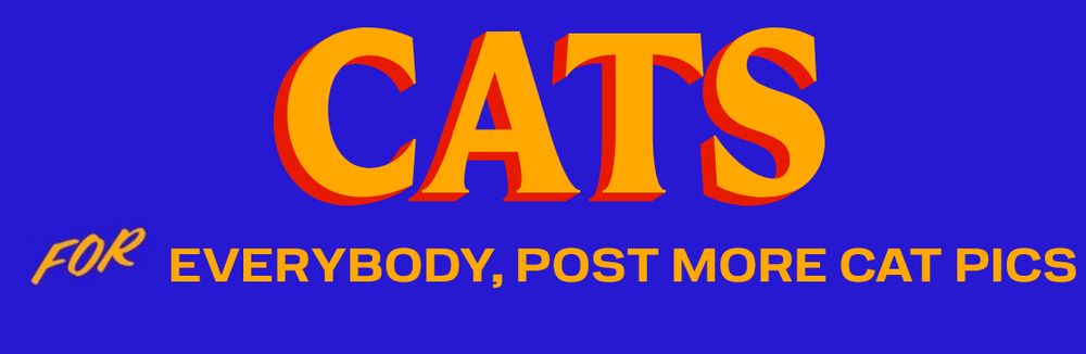 cats, just post more cat pictures i like cats