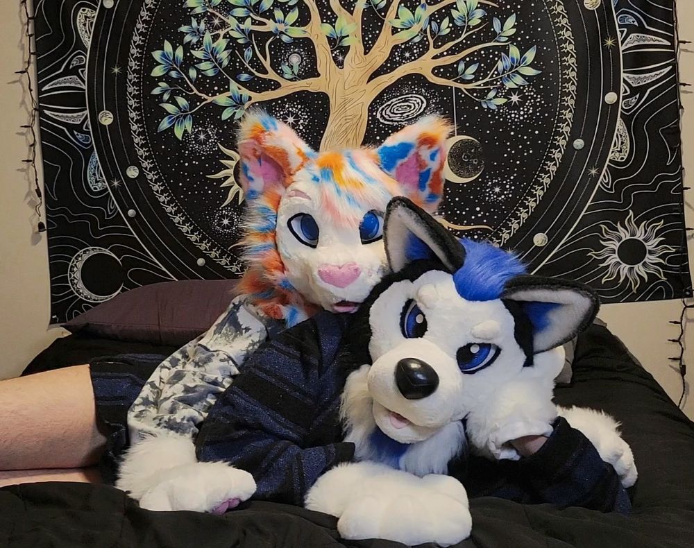 Busker and Chickory. Busker is lying on his side with his paw propping his head up. Chickory is flopped with her head resting on his shoulder 