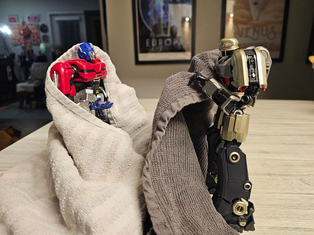 Orion and D16 on a counter, drying off. Orion is mostly wrapped in a towel