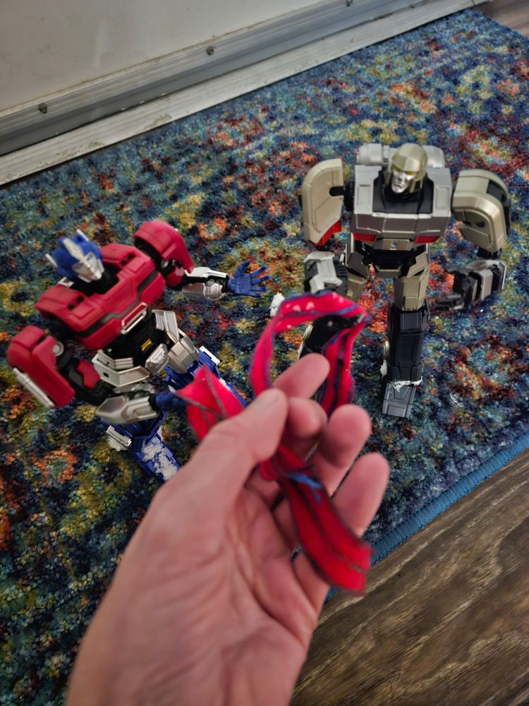 Orion and D16 pass their scarves over to the resident human. 