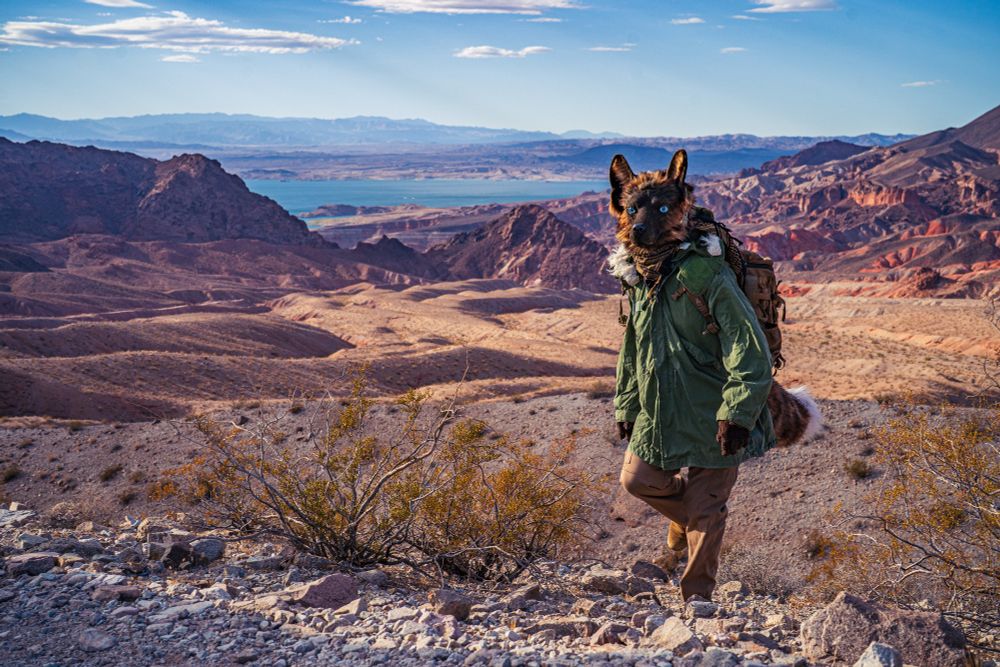 A brown anthropomorphic canine steps up a hill towards the viewer, the scene behind them a large wash, tan rocky and sandy hills, framed by red-brown western sheer hills. A large body of water stands beyond, with more red-brown terrain fading out to far distant mountains in blue, the sky partly cloudy but mostly clear and white to blue.