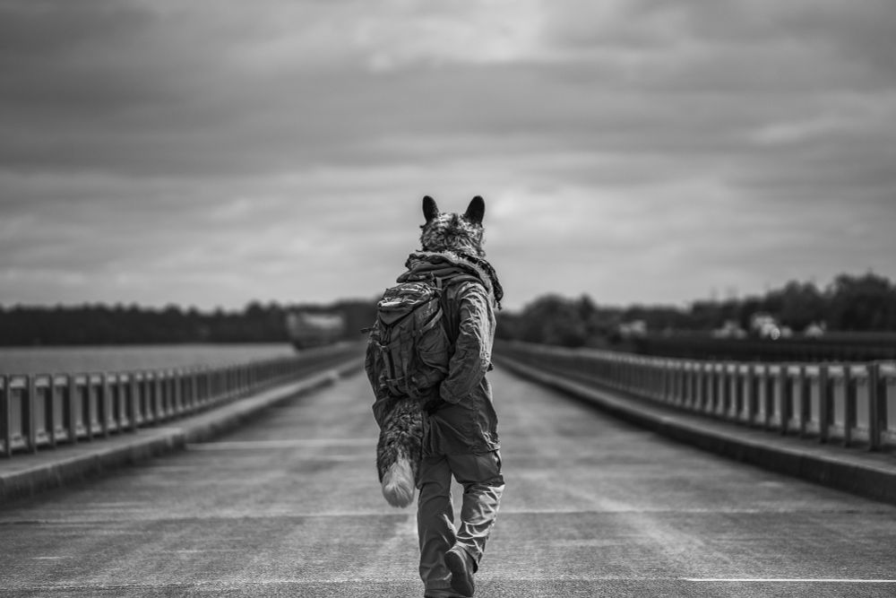 A black and white photo of an anthropomorphic canine wearing a hooded jacket and backpack, adjusting the jacket as they take a step forward, a long bridge visible stretching from the viewer to the horizon halfway up the image. The sky above is cloudy, the far side of the bridge flanked by a line of trees. A second bridge is visible to the right, running parallel to the one our canine person protagonist walks upon.