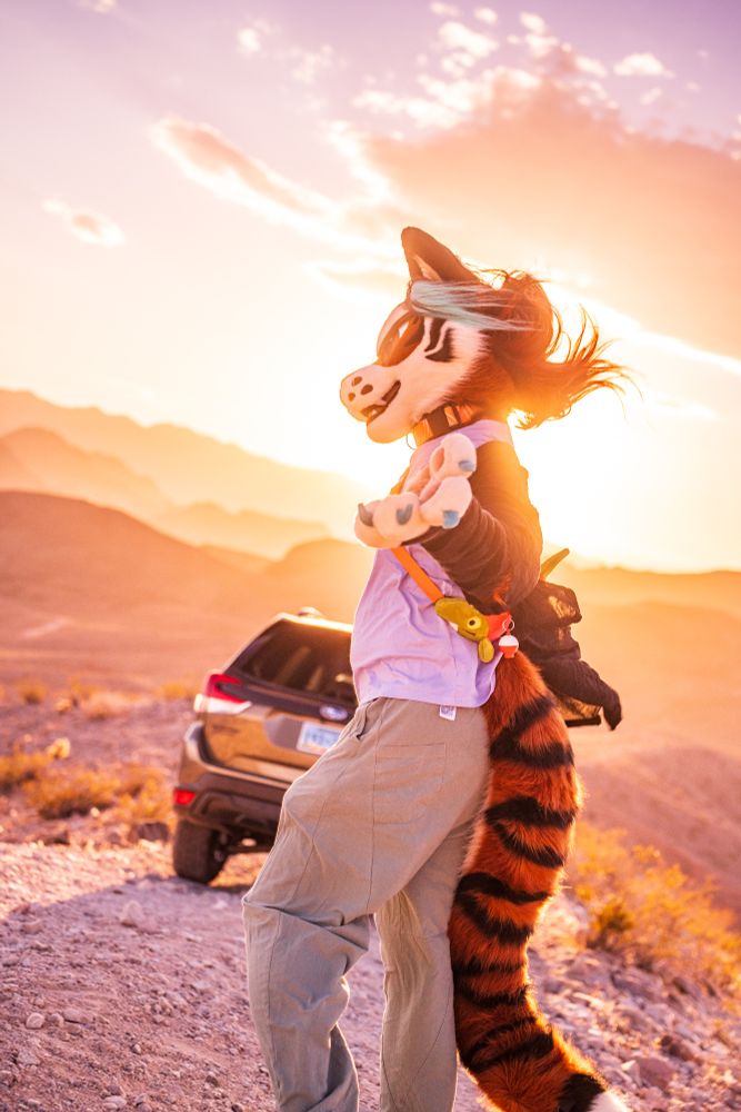 Talexis, an anthropomorphic tigerfox beckons to the viewer to come as they turn into the sunset to walk towards the back of a car, in front of a rocky mountainous sunset.