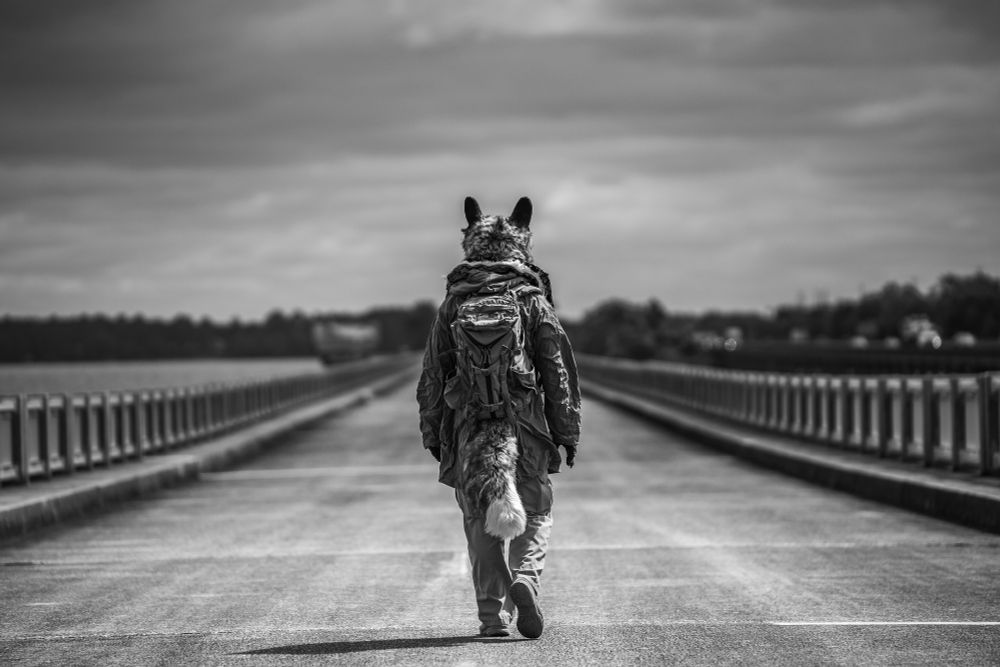 A black and white photo of an anthropomorphic canine wearing a hooded jacket and backpack, takes a step forward, a long bridge visible stretching from the viewer to the horizon halfway up the image. The sky above is cloudy, the far side of the bridge flanked by a line of trees. A second bridge is visible to the right, running parallel to the one our canine-person protagonist walks upon.
