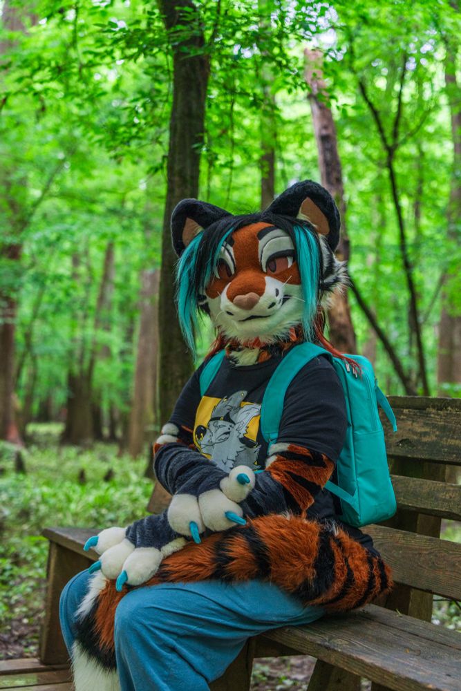 Talexis, an anthropomorphic tigerfox wearing a black graphic t-shirt, blue pants and a cyan backpack, sits on a bench along an elevated walkway amidst a forested wetland of bald cypress and other green growth.