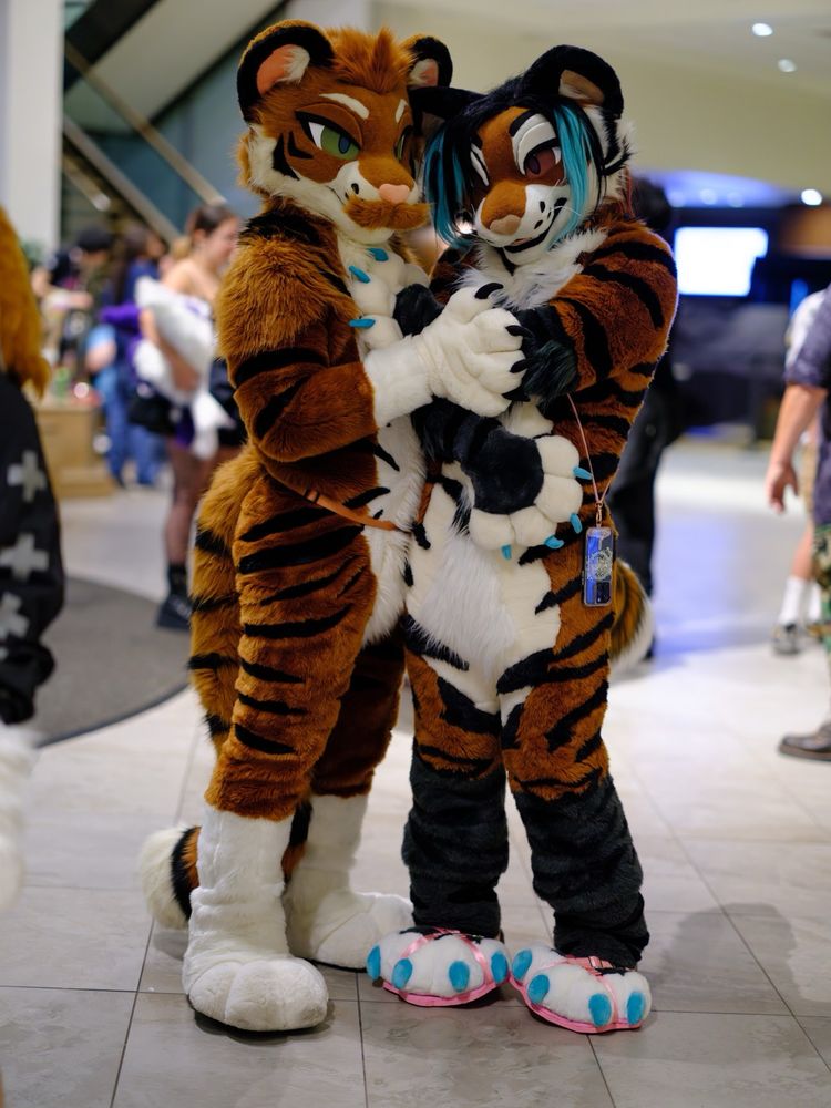 Butler and Talexis, a tiger and tigerfox pose for a photo at Anthrocon 2025