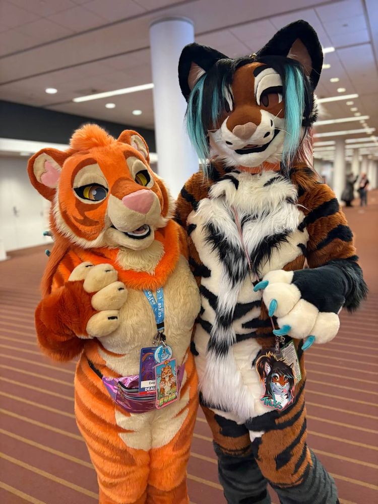 Evaa and Talexis, a tiger and tigerfox pose for a photo at Anthrocon 2025