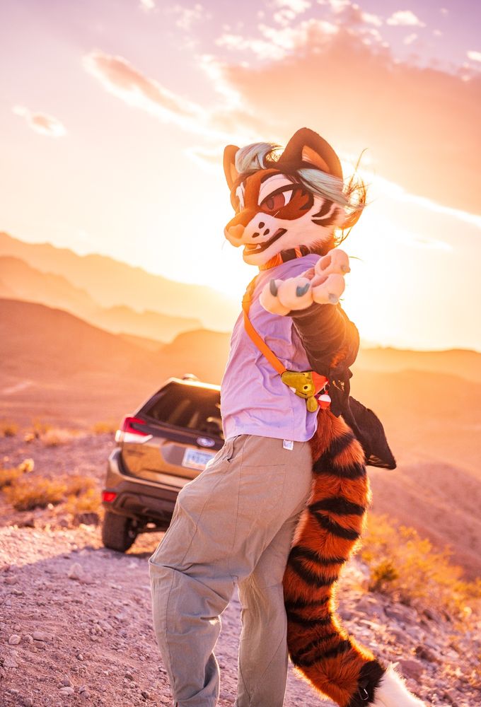 Talexis, an anthropomorphic tigerfox beckons to the viewer to come as they turn into the sunset to walk towards the back of a car, in front of a rocky mountainous sunset.