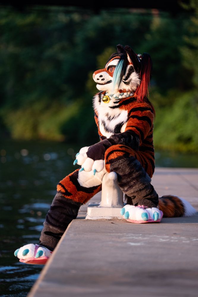 Talexis, an anthropomorphic tigerfox, sits at the edge of a waterfront looking out to the left of the image.