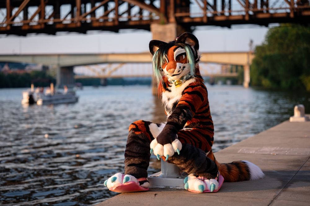 Talexis, an anthropomorphic tigerfox, sits at the edge of a waterfront looking at the viewer.