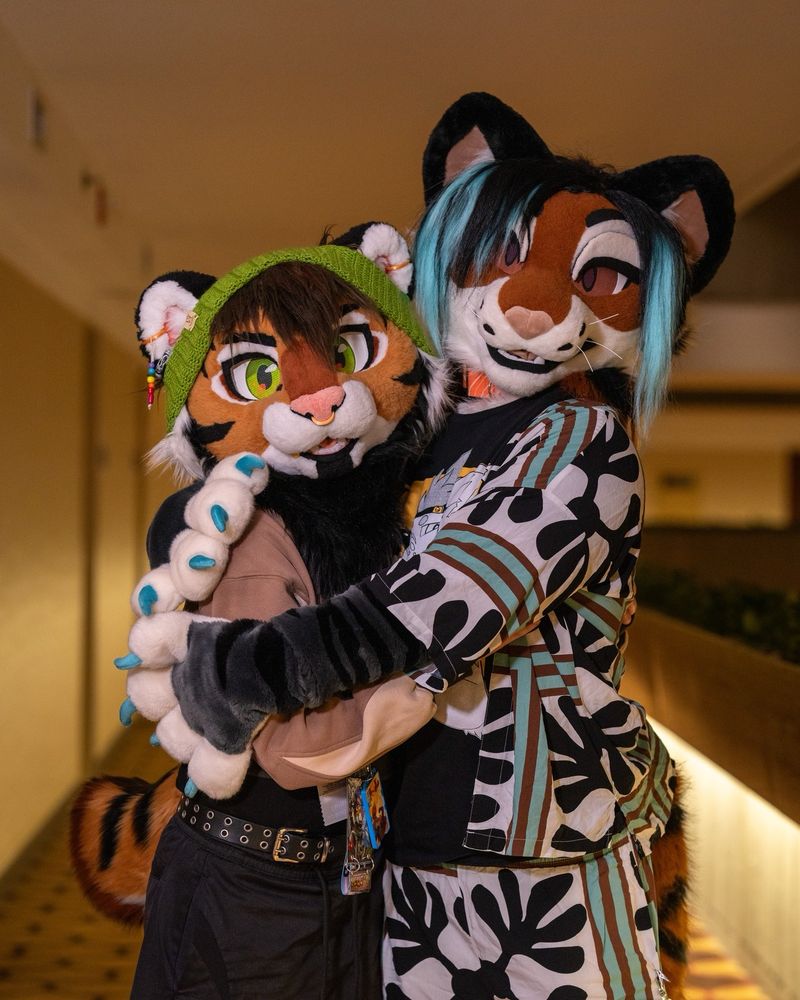 Luca and Talexis, a tiger and tigerfox pose for a photo at Midwest Furfest 2024