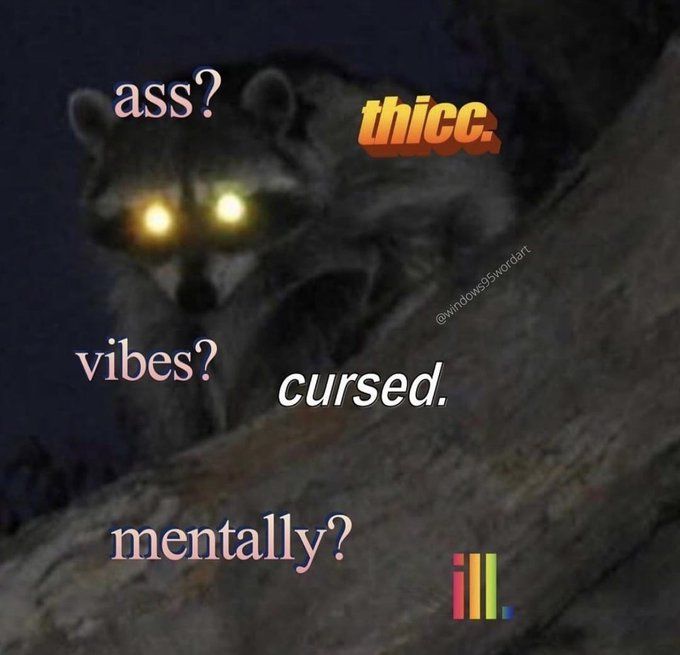 A racoon rests on a branch and the text "ass? thicc. Vibes? cursed. mentally? ill." is placed over it. Also if you're reading this I meant all of this in like a positive good way not like a mocking way. 