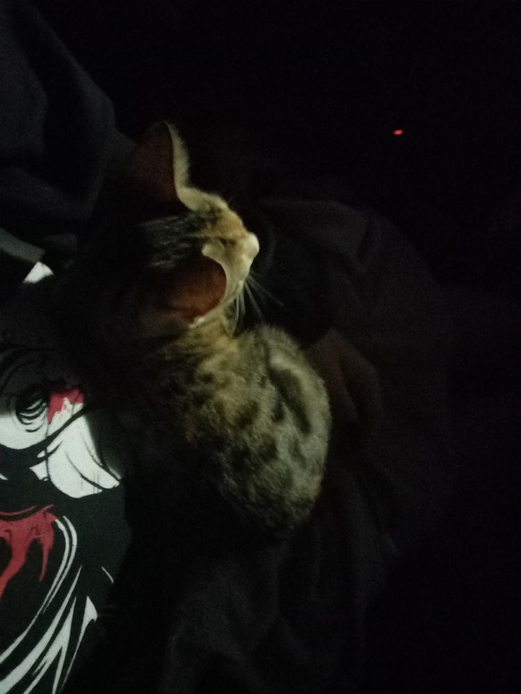 Eu i ela no carro viajando pra casa do meu pai Ó⁠╭⁠╮⁠Ò