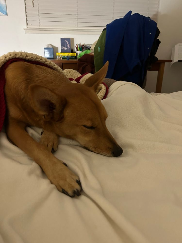 bucky falling asleep 