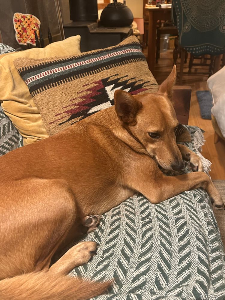 bucky looking very zonked