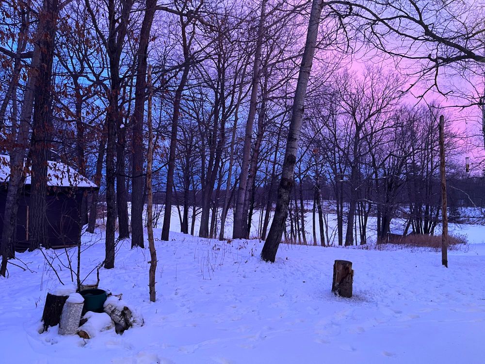 Pink and purple sunset over a lake and woods