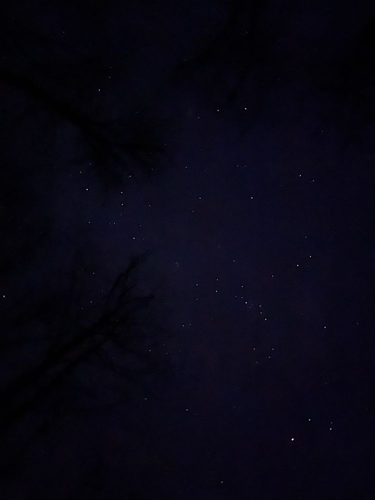 iPhone 13 photo (so not great) of the winter night sky showing a number of stars. Taken from one of the darkest places in Minnesota