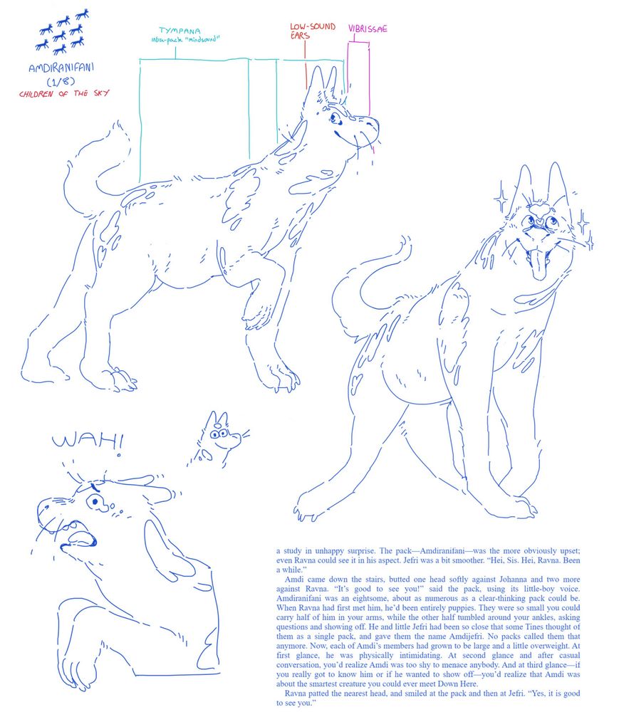 Several sketches of one-eighth of the individual-pack "Amdiranifani" from the science fiction novels A Fire Upon The Deep and The Children Of The Sky. He is a group mind comprised of eight weakly wolflike creatures, each of which is in isolation nonsentient but capable of sharing ultrasonic 'mindsound' with other pack-members, the gestalt of three to eight of which forms a discrete personality.