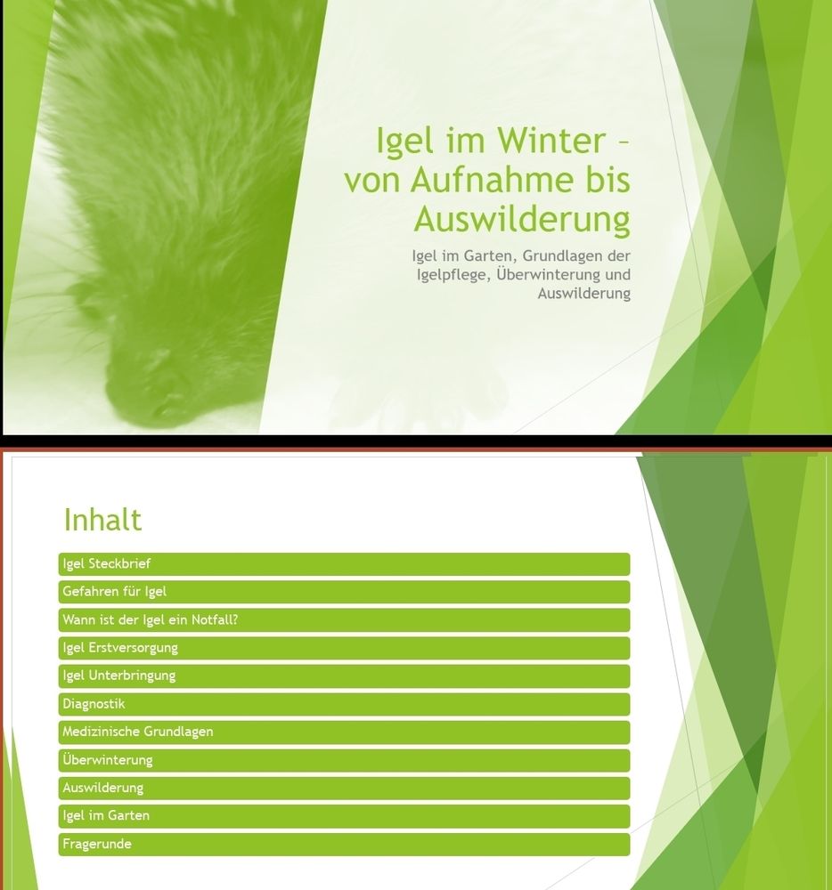 Igel Seminar Folie Inhalt des Seminars