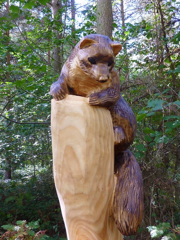 An image of a marten.