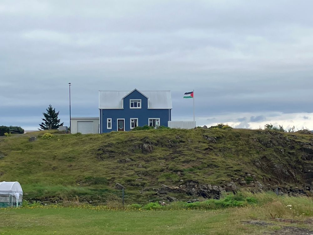 A blue house with a Palestine flag