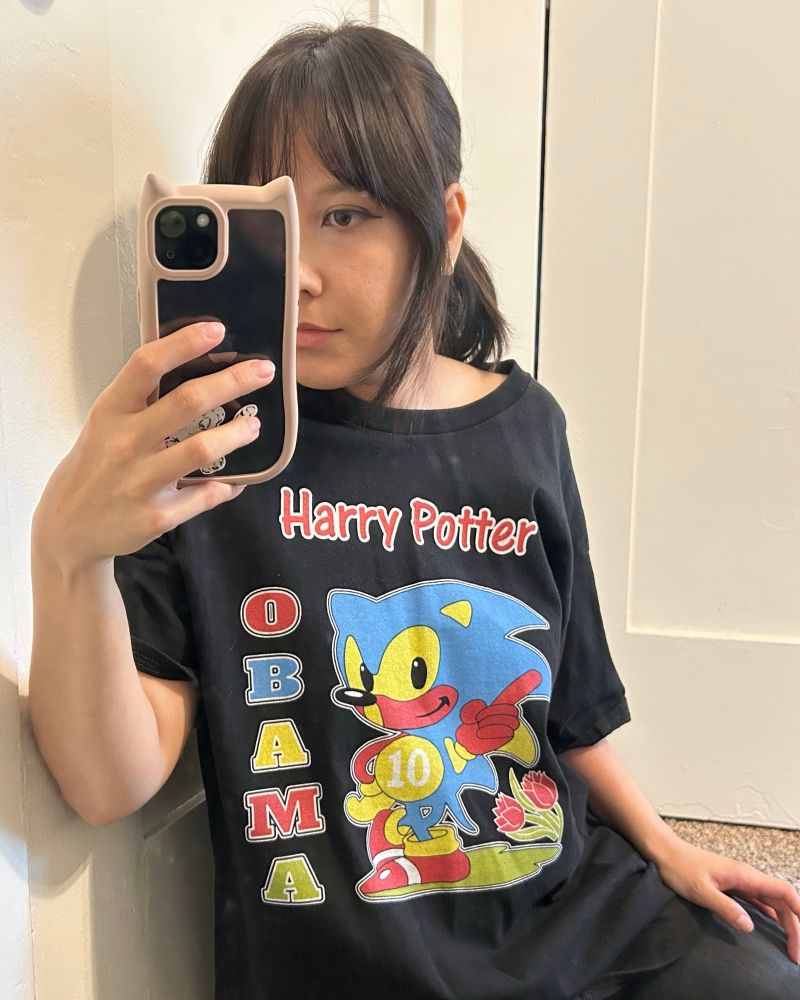 Bro I got the Harry Potter Obama Sonic shirt 