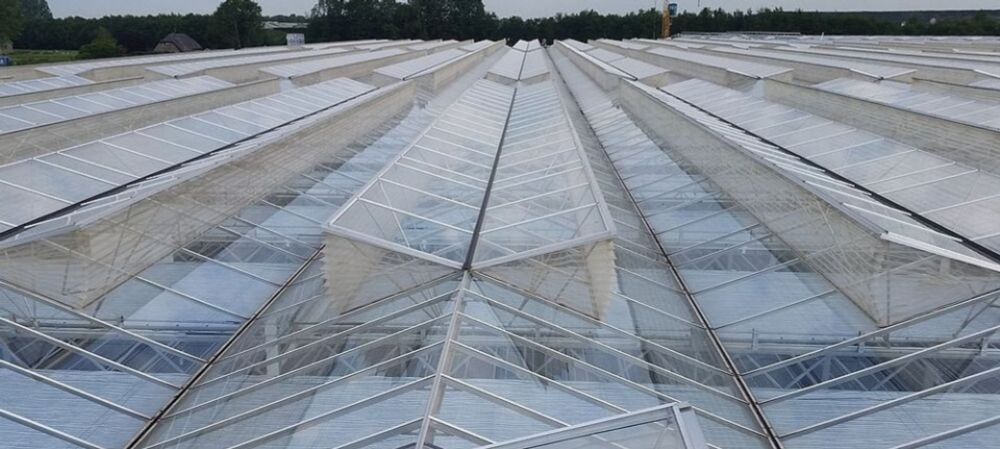 Gaas is effectief wapen tegen plaaginsecten in kassen