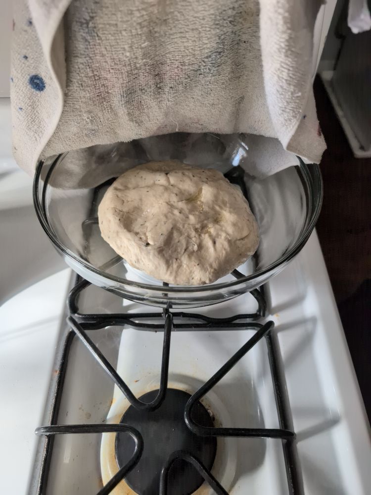 A white gas stove.  On the back right burner sits a clear Pyrex bowl with a large ball of beige dough in it.  There is a towel that would be covering the bowl but is lifted off screen.