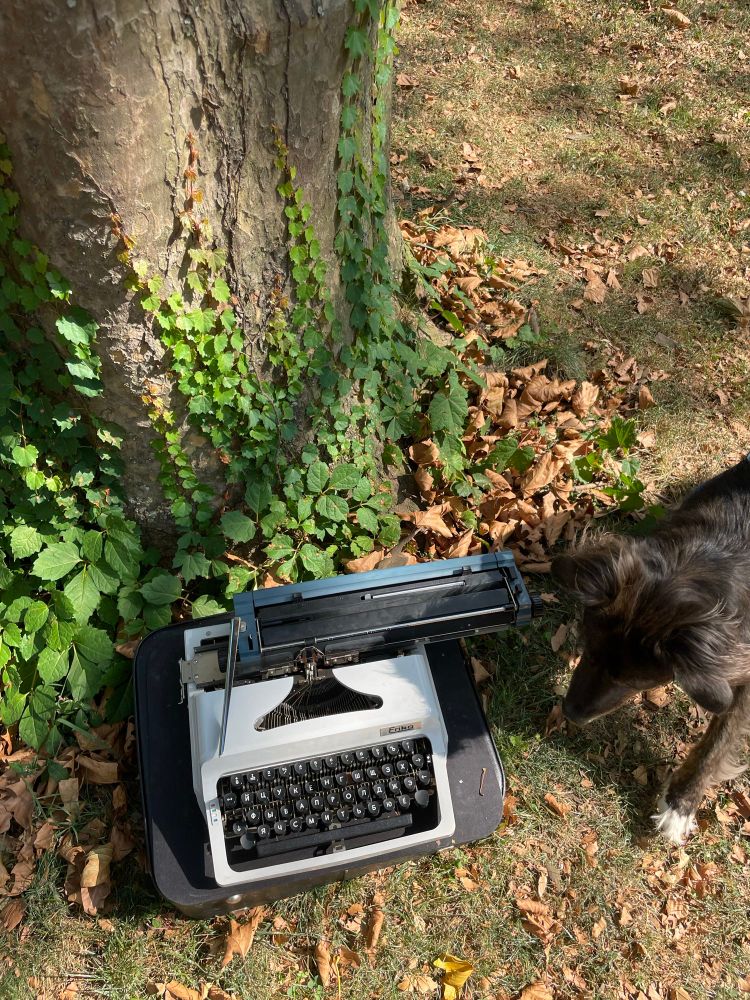 My dog Maggi checks out a typewriter she found in the park. 