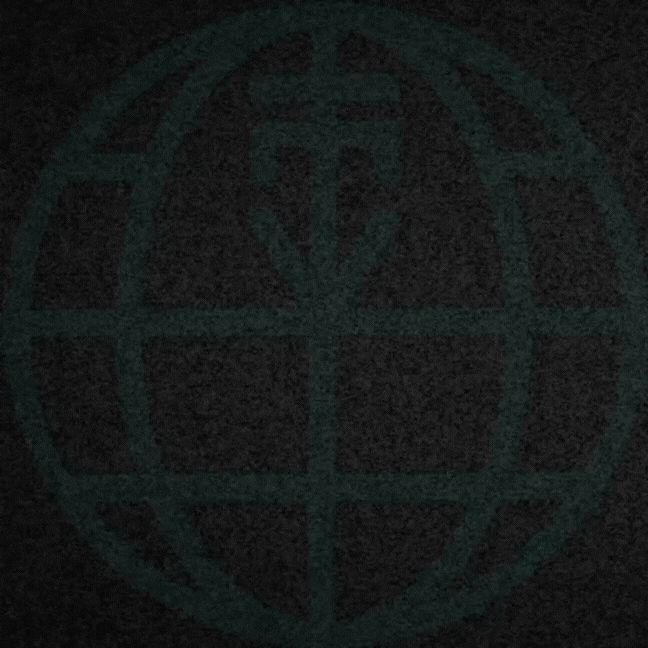 A skull moves across the black background with e Sidja Group symbol. Text: Welcome to the anatomical theatre, did you reserve a place on the stairs, or a box of your own? The White Vault. 