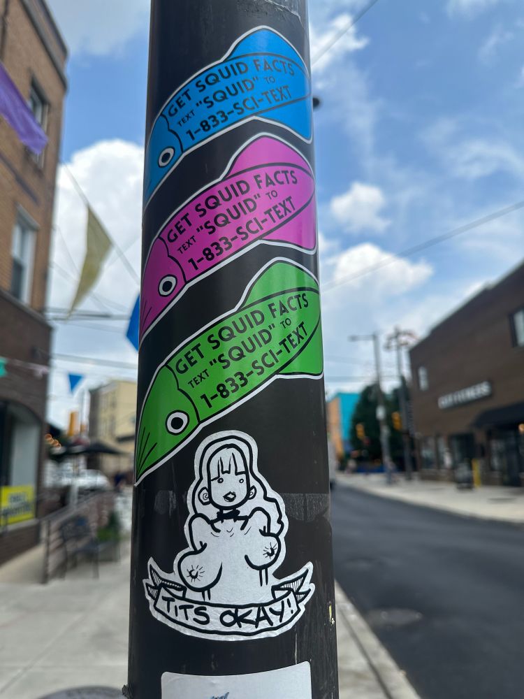 Squid fact stickers! Text a number for squid facts!! Also a cartoon woman sticker with her tits out that says “tits okay!” And I feel for her