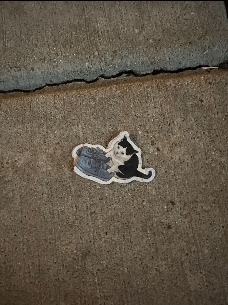 A small sticker of a kitten whose front paws are in a pair of adult sneakers on the ground
