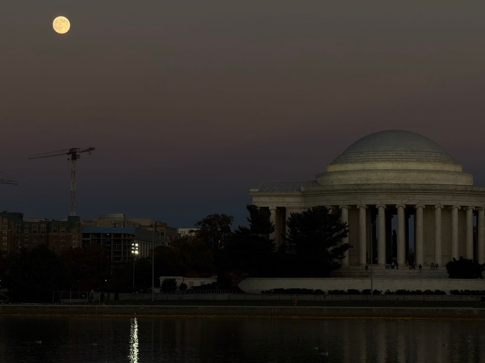 At that very moment, a sense of calm prevailed. Yet behind that calm curtain lay pure chaos.