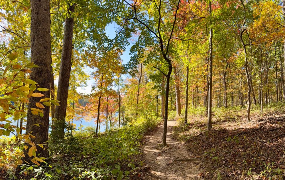 Sun brings out the yellows, greens and hints of oranges and reds. 