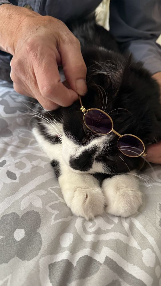 Wasn’t going for it. 