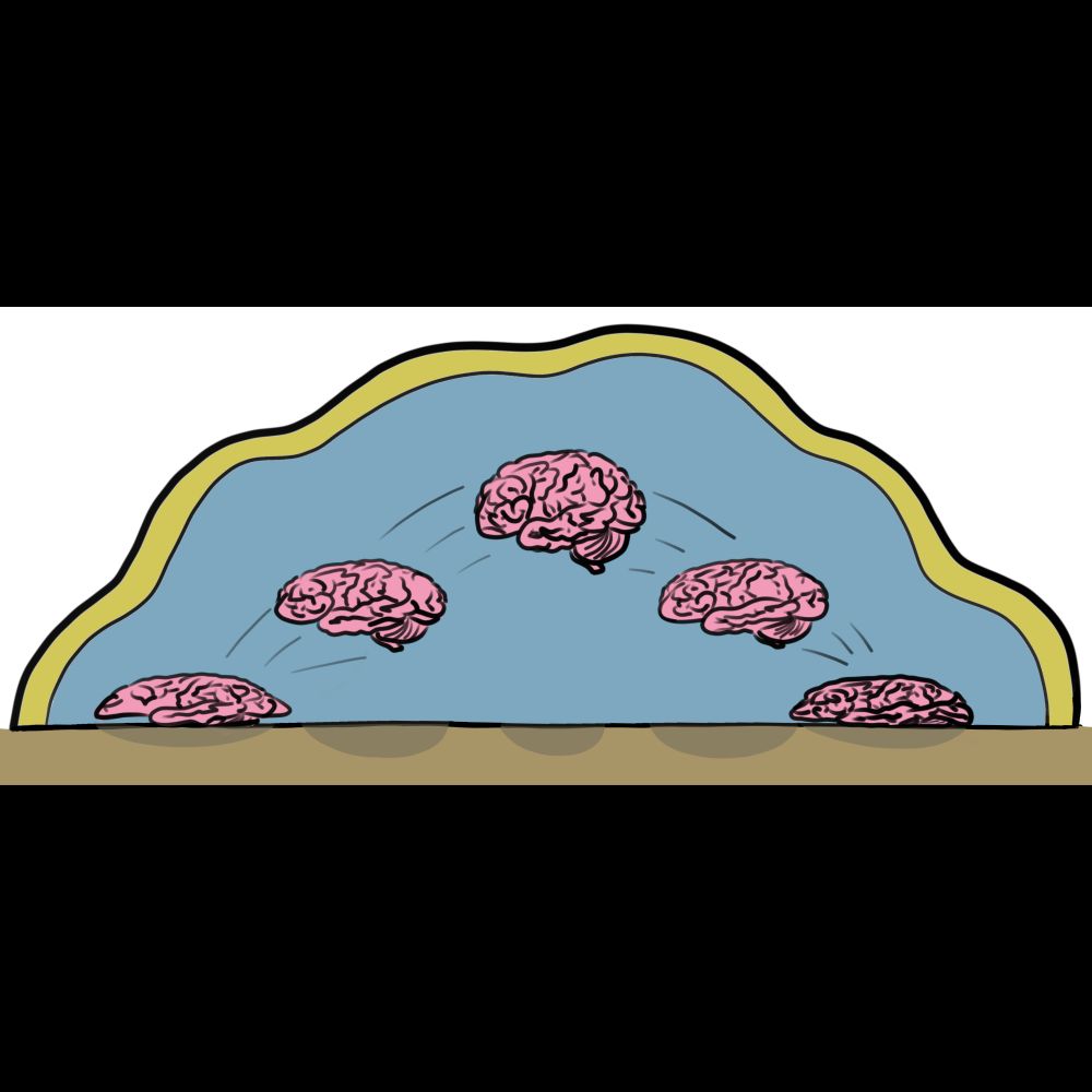 Silicone brains - NCCR Evolving Language